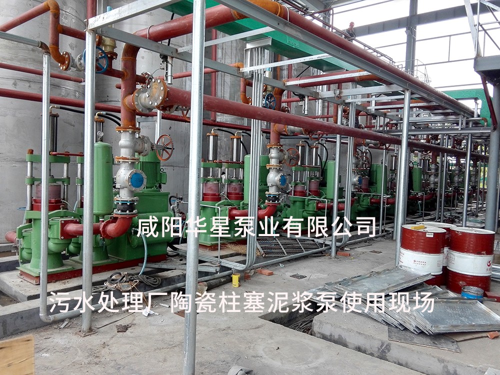污水處理廠咸陽柱塞泵使用現(xiàn)場