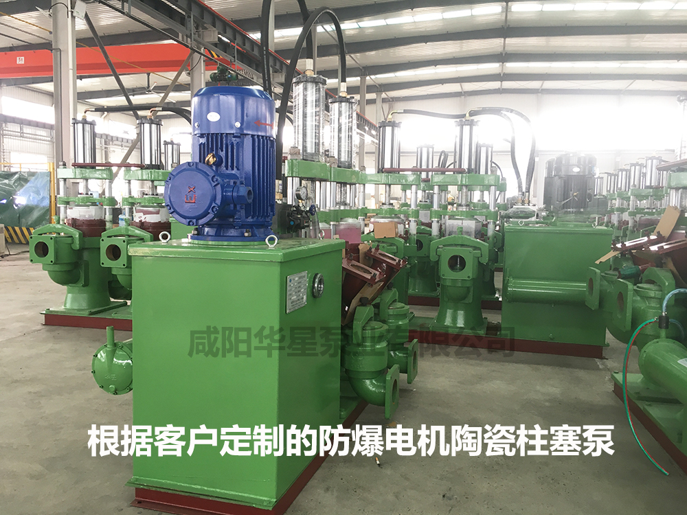防爆電機(jī)陶瓷柱塞泵.jpg
