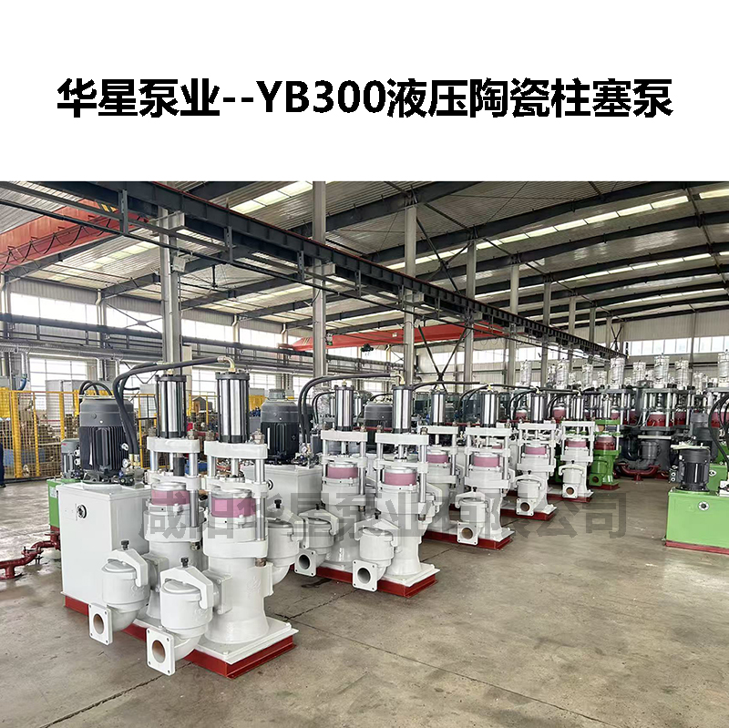 YB300液壓陶瓷柱塞泵-19 YB300液壓陶瓷柱塞泵-19