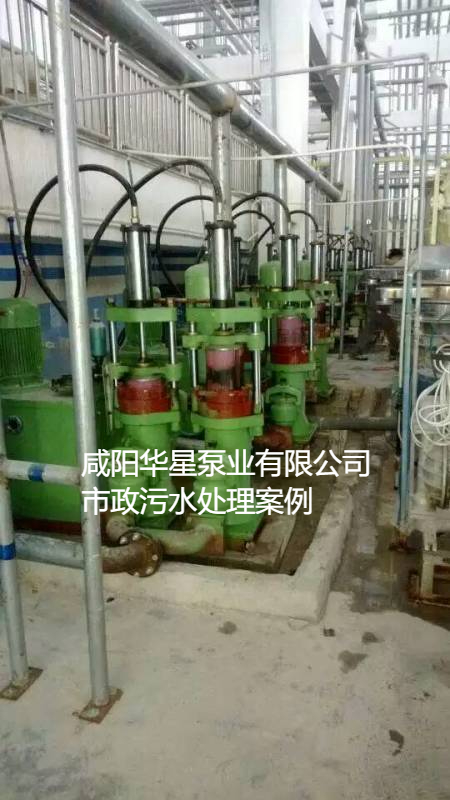污水處理廠使用YBH200咸陽柱塞泵現(xiàn)場