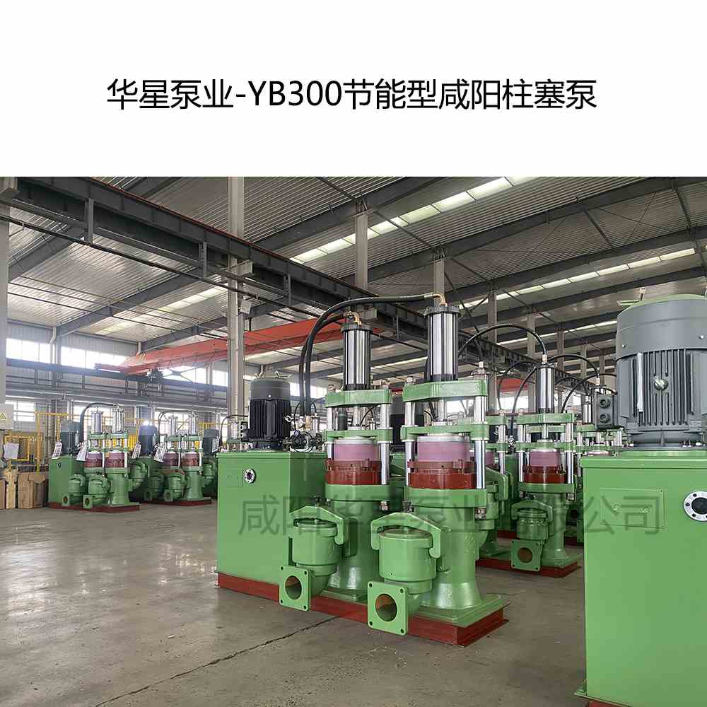 客戶訂購一臺節(jié)能型YBH300咸陽柱塞泵
